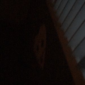 Meet your Posher, Wawesha